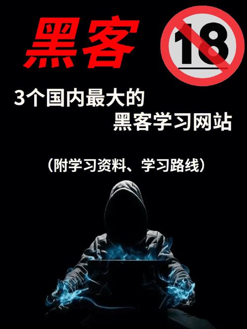 黑客在线业务接单服务网页版:全天候技术支援与安全维护